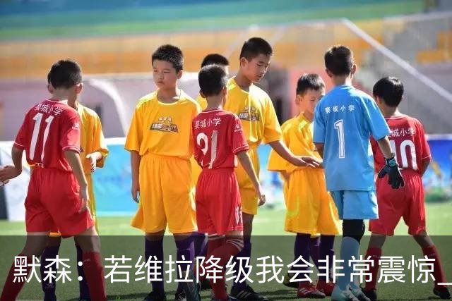 默森：若维拉降级我会非常震惊 阿森纳将以两位数积分优势夺冠